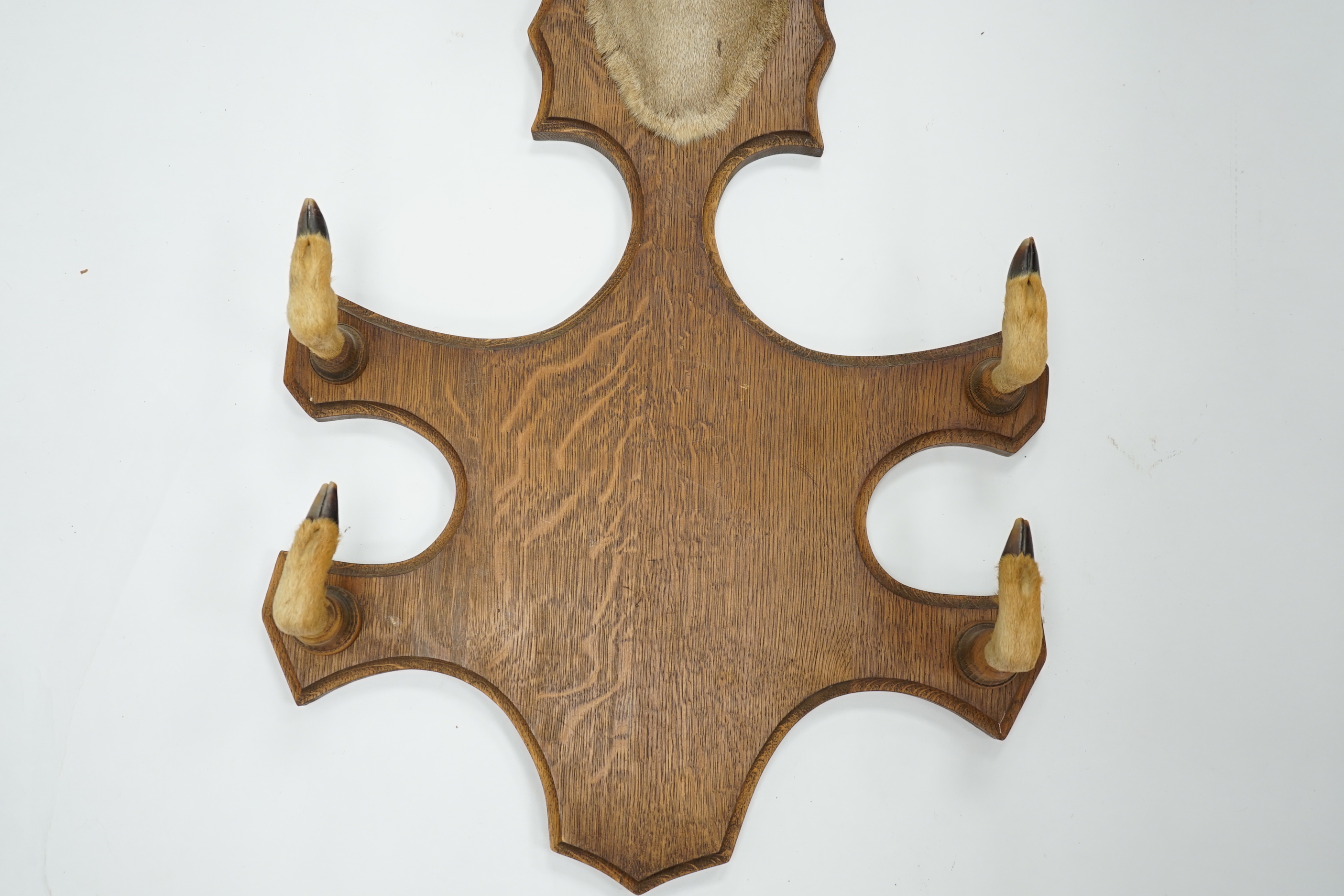 A taxidermic deer head with four hooves in the form of a coat hook, 80cm high